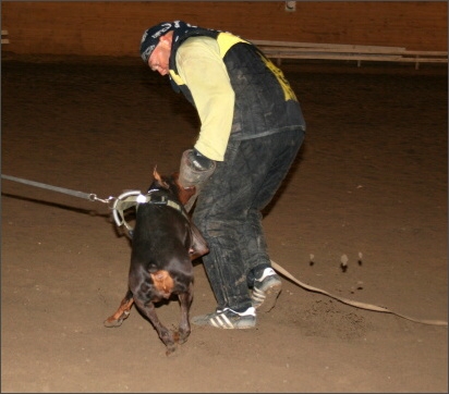 Training in Estonia 11/2007